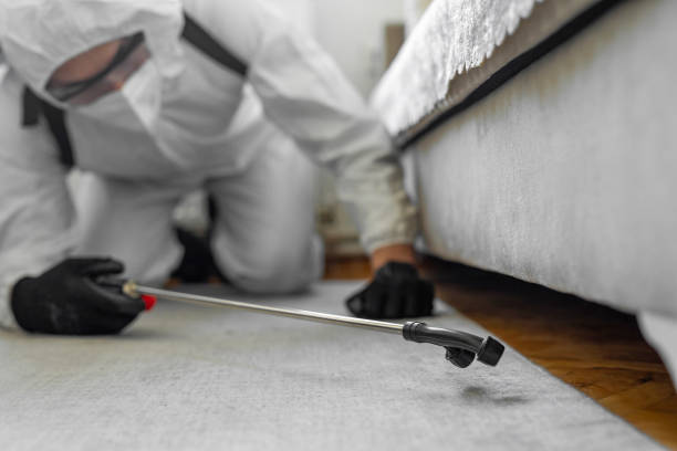 Professional Termite Control technician working in Hazardville, CT